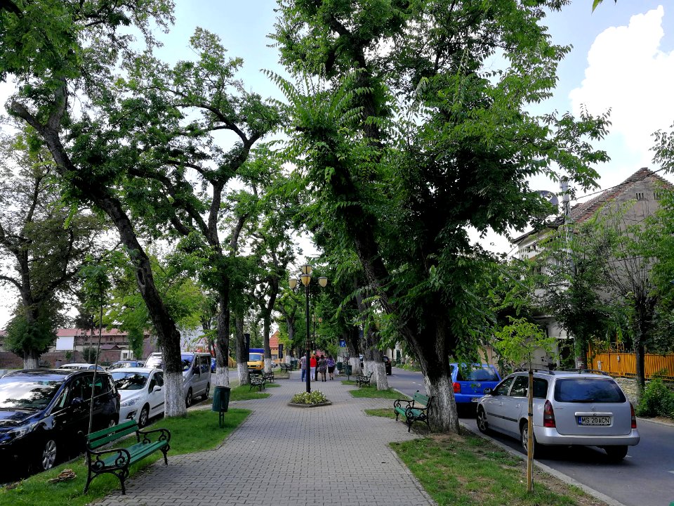 RO MS Bd Cetatii 2