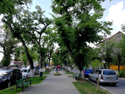 RO MS Bd Cetatii 2