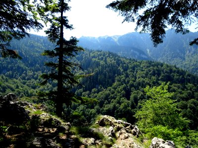 RO Prapastia Ursului belvedere 1