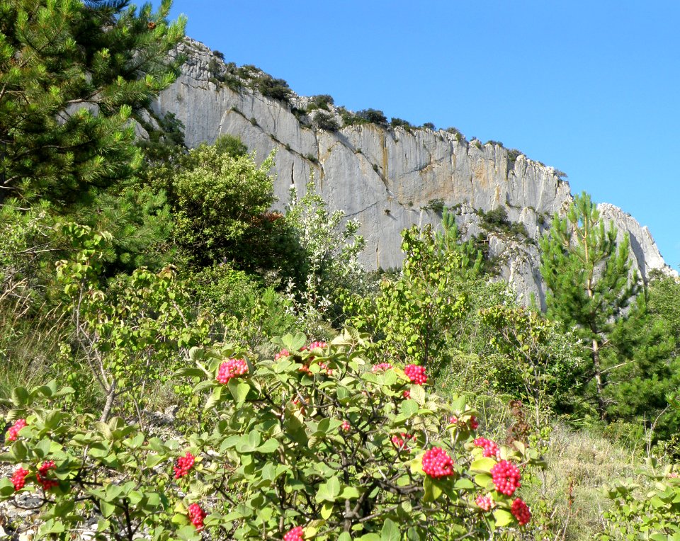 Rocher Saint-Julien face nord 46