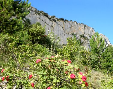Rocher Saint-Julien face nord 46