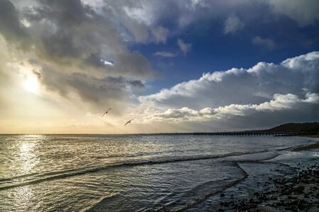 Beach water nature