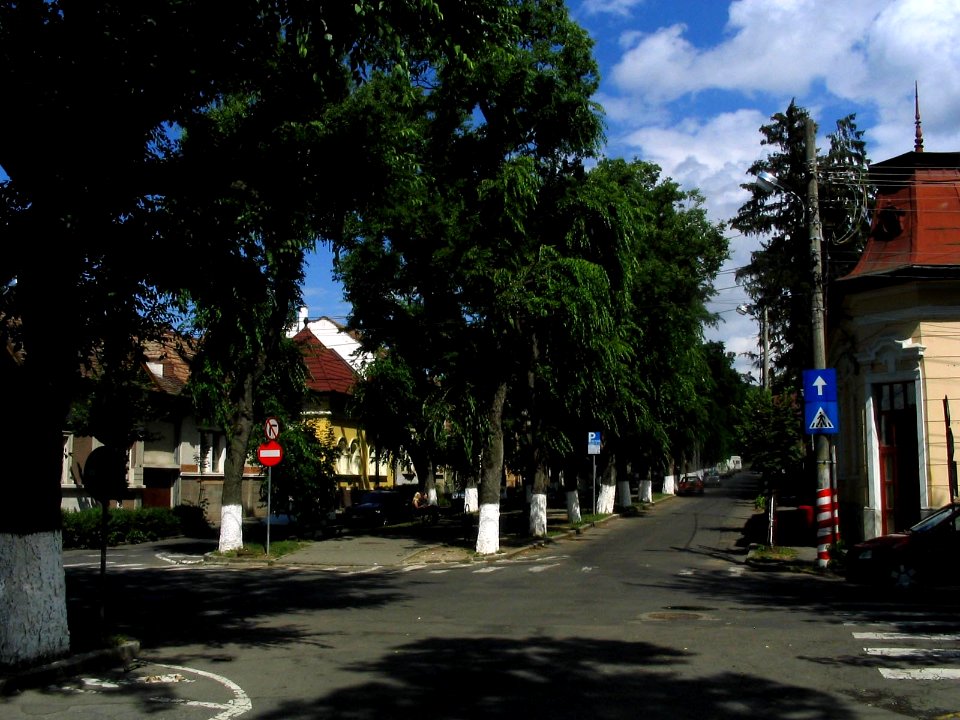 RO MS Bd Cetatii 4