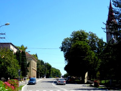 RO TM Buzias main street