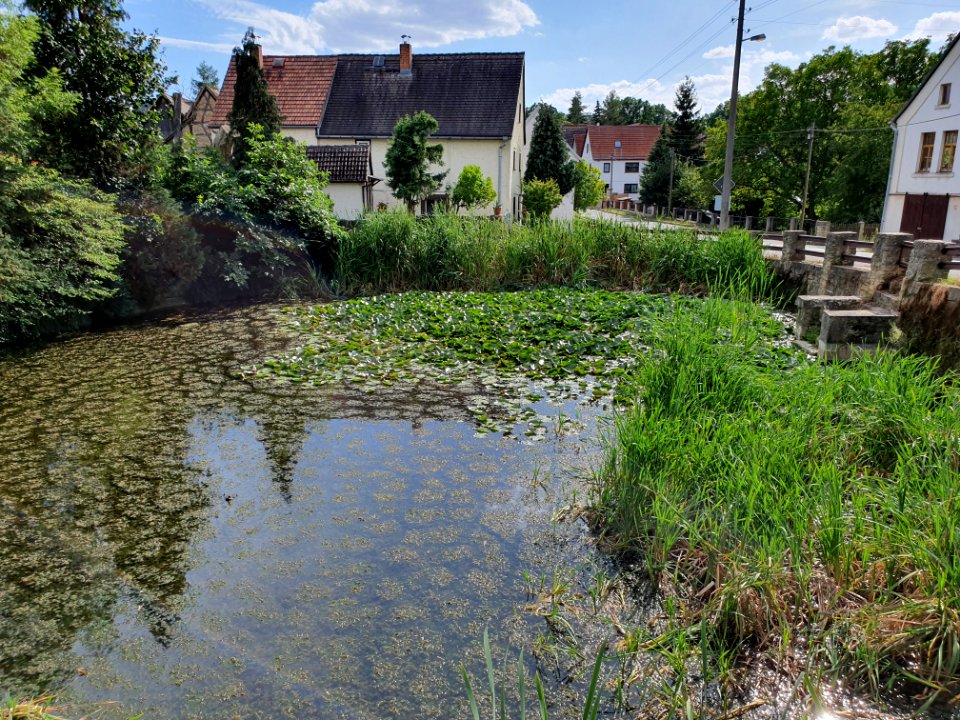 Rockau, Schkölen 13