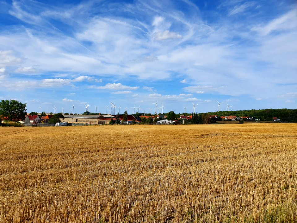 Rockau, Schkölen 19