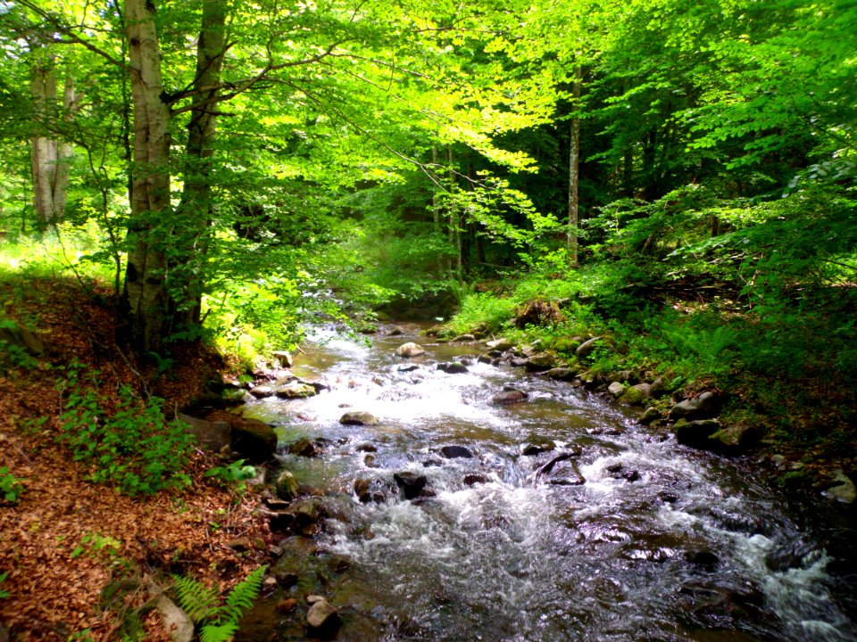 RO Creanga Mica river