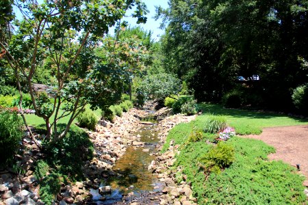 Rock Quarry Garden, Greenville SC June 2019 4