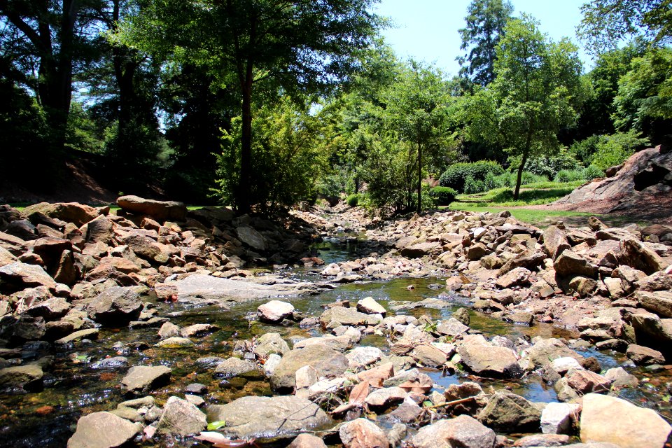 Rock Quarry Garden, Greenville SC June 2019 6