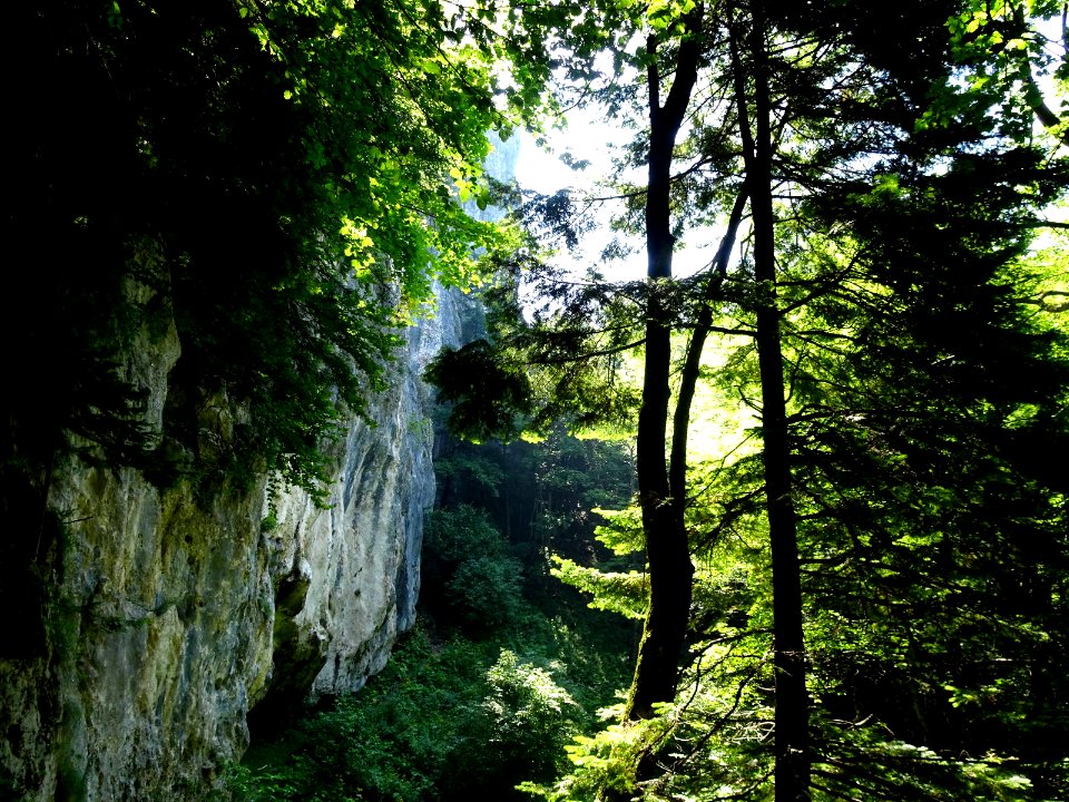 RO Prapastia Ursului rock 1