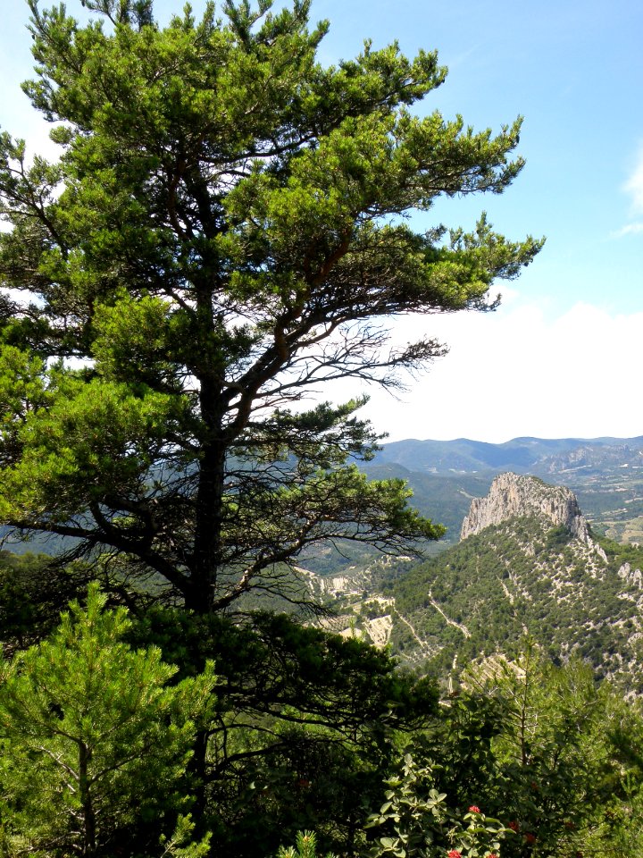 Rocher Saint-Julien face sud 71