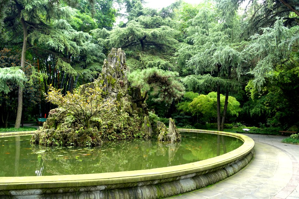 Rock in pool - Wangjianglou Park - Chengdu, China - DSC06143