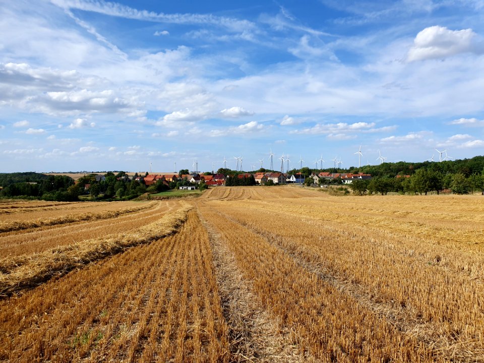 Rockau, Schkölen 20