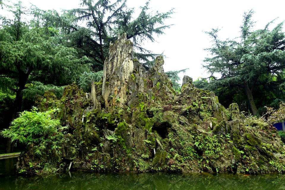 Rock in pool - Wangjianglou Park - Chengdu, China - DSC06113