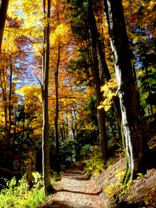 RO PH Franz J path 4