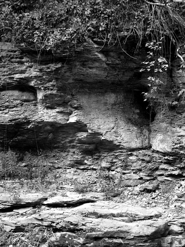 Rock wall, Saw Mill Run, 2020-08-30
