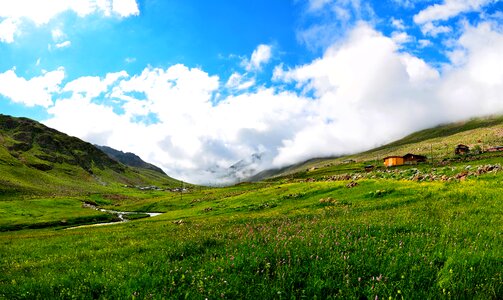 Nature green kaçkars