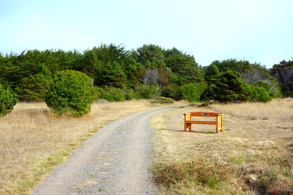 Road - Mendocino Coast Botanical Gardens - DSC02170