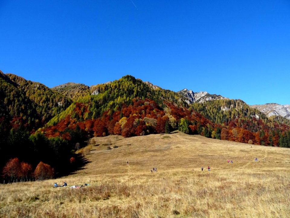 RO Poiana Regala 3