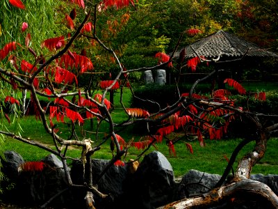 RO Herastrau Japanese Garden