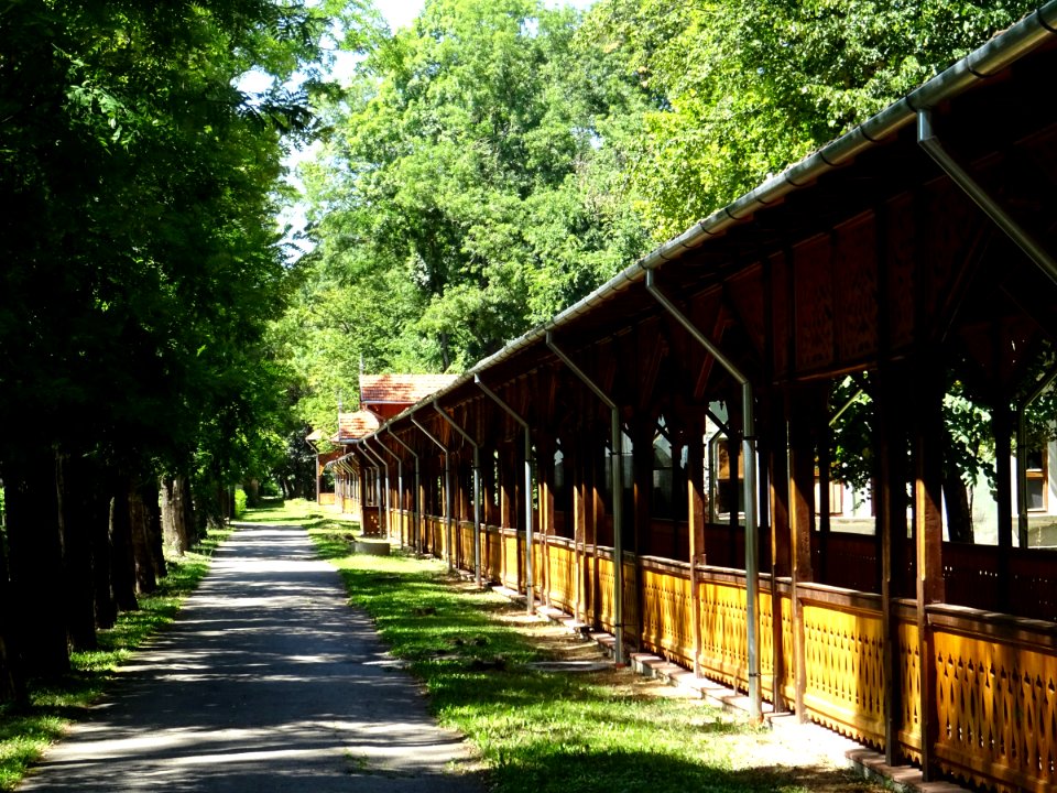 RO TM Buzias colonnade 5