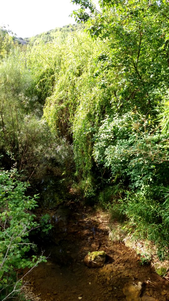 Rochecolombe - ruisseau