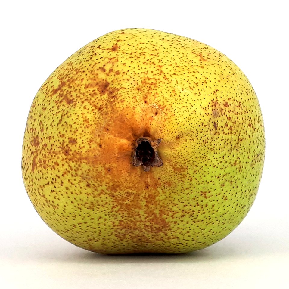 Rocha Pear 2017 C4