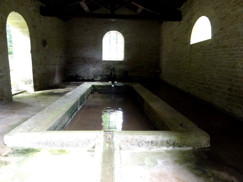Rochefort-sur-la-Côte (Haute-Marne) fontaine-lavoir (04)