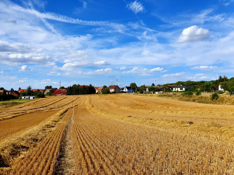 Rockau, Schkölen 22