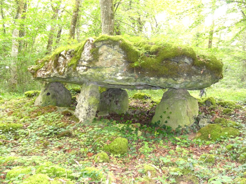 Rochefort-sur-la-Côte (Haute-Marne) dolmen du bois de la Grande Bay (03)