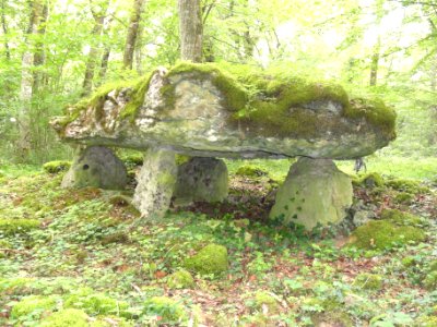 Rochefort-sur-la-Côte (Haute-Marne) dolmen du bois de la Grande Bay (03)