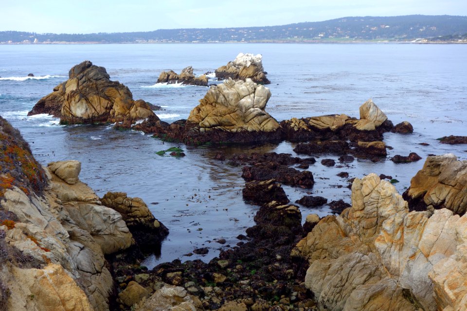 Rock formations - Point Lobos State Reserve - DSC07132