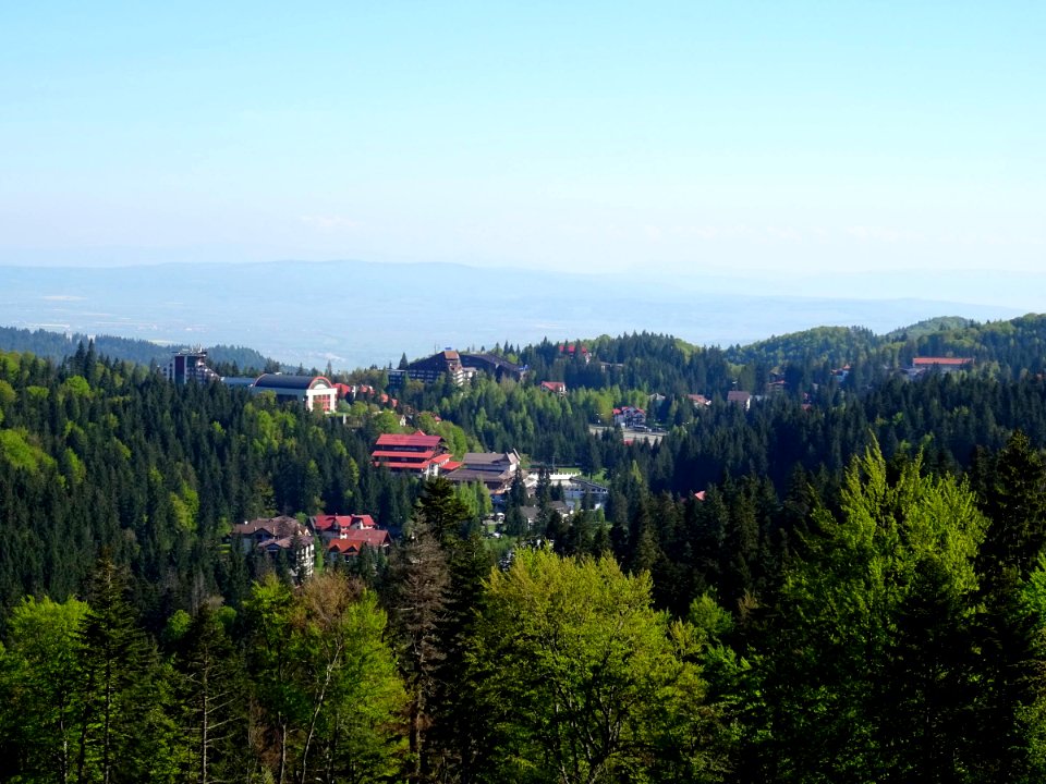 RO BV Poiana Brasov 1