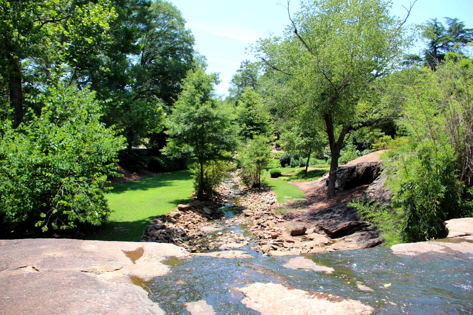 Rock Quarry Garden, Greenville SC June 2019 3