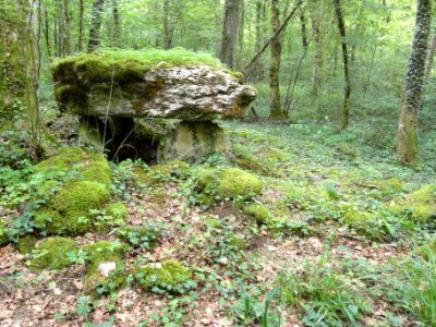 Rochefort-sur-la-Côte (Haute-Marne) dolmen du bois de la Grande Bay (05)