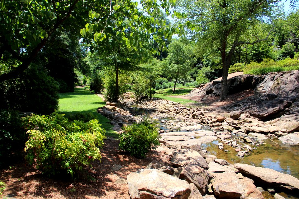 Rock Quarry Garden, Greenville SC June 2019 2