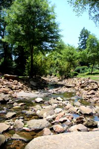 Rock Quarry Garden, Greenville SC June 2019 1