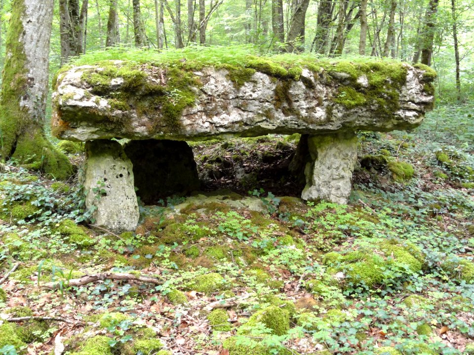 Rochefort-sur-la-Côte (Haute-Marne) dolmen du bois de la Grande Bay (04)