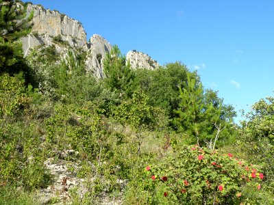 Rocher Saint-Julien face nord 74