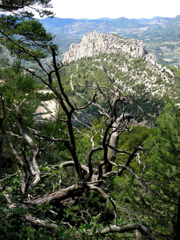 Rocher Saint-Julien face sud 56