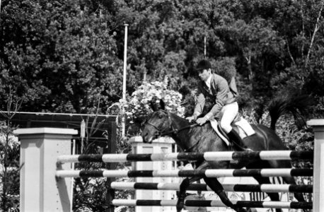 Rob Ehrens komt ten val met paard Koh-I-Noor, Bestanddeelnr 930-9694
