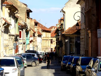 RoBVCerbului1