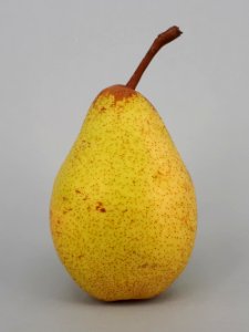 Rocha Pear 2017 B5