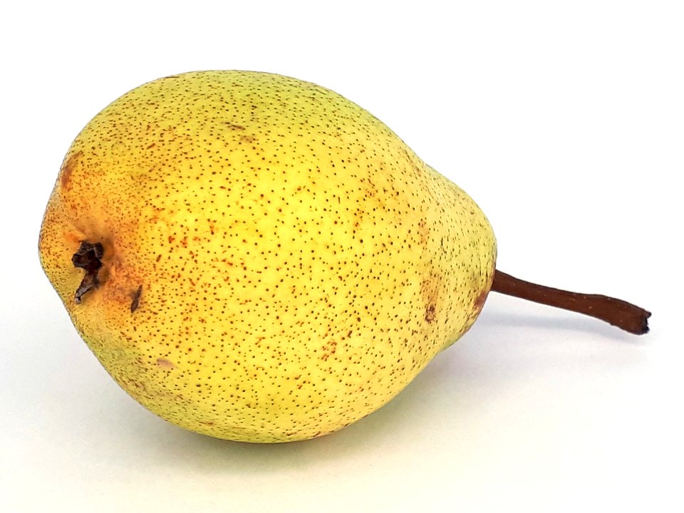 Rocha Pear 2017 B3