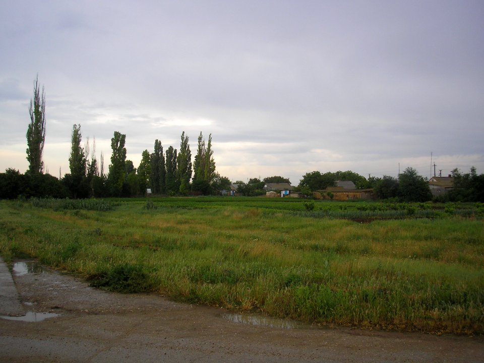 RodnoeDz 1