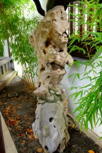 Rock - Lan Su Chinese Garden - Portland, Oregon - DSC01518