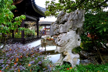 Rock - Lan Su Chinese Garden - Portland, Oregon - DSC01350