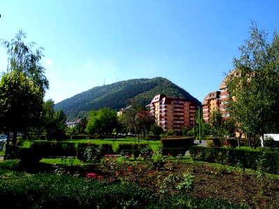 ROBrasovRacadau3