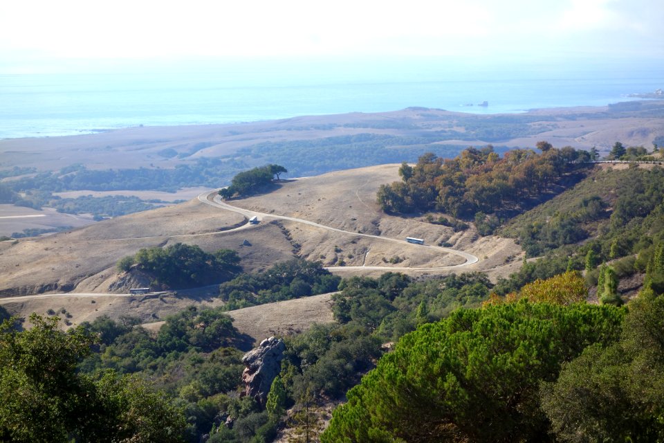 Roadway - Hearst Castle - DSC06549