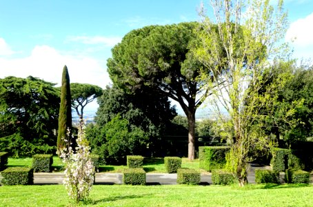 Roadside - Barberini Gardens - Castel Gandolfo - DSC04408